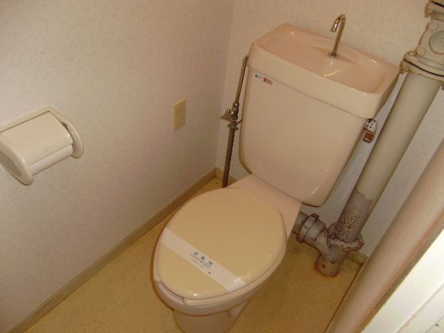 Toilet. Easy-to-use floor plan of the room