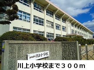Primary school. 300m to Kawakami elementary school (elementary school)