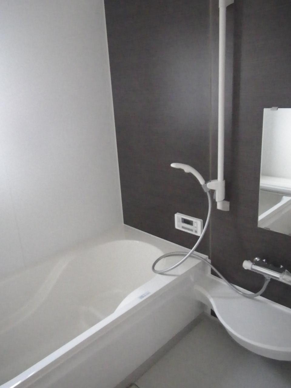 Bathroom. Indoor (10 May 2013) Shooting