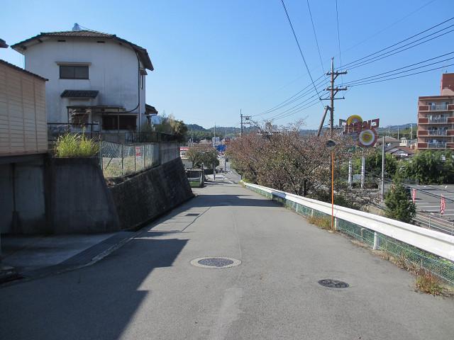 Local photos, including front road. Local (10 May 2012) shooting