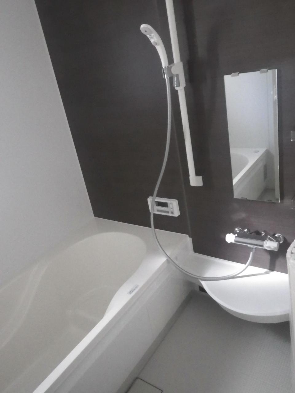 Bathroom. Indoor (11 May 2013) Shooting