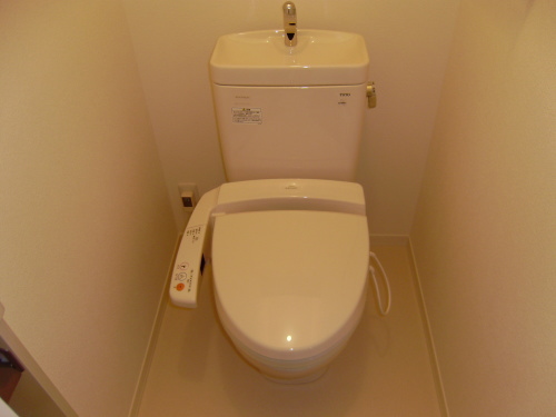 Toilet. Wash with warm water toilet seat
