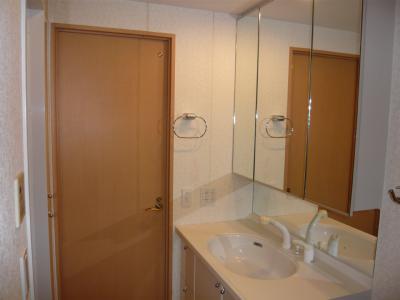 Wash basin, toilet. Storage is a wash basin of plenty.