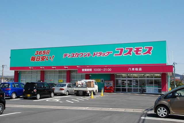 Drug store. 1884m to discount drag cosmos Hachihonmatsu shop