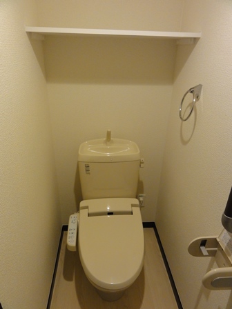 Toilet. You can also put things on top
