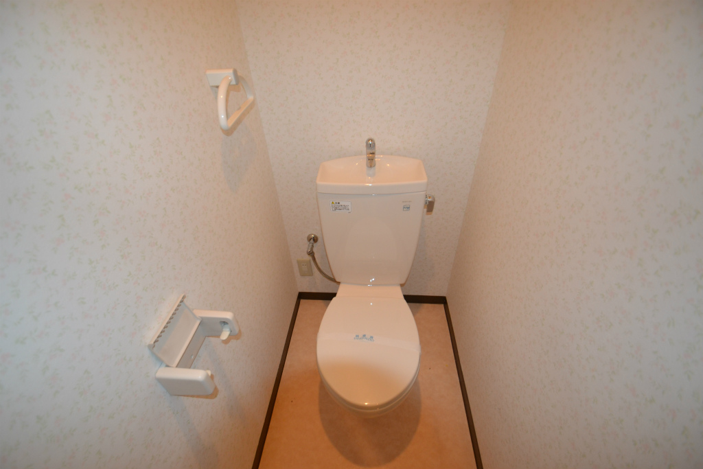 Toilet. Spread of toilet.