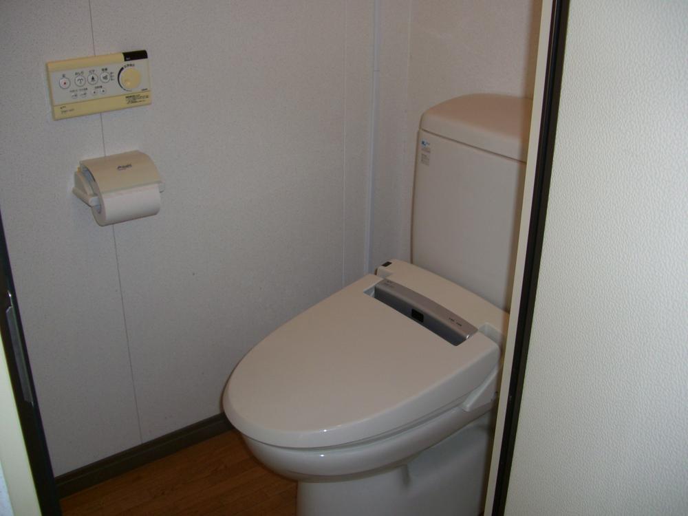 Toilet. Clean toilets space