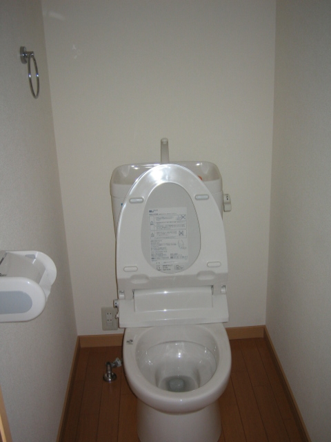Toilet. Do not you think that it is a clean toilet