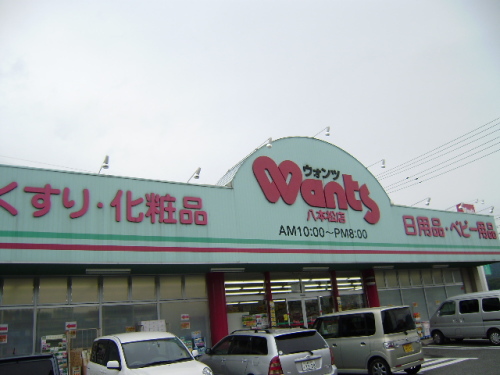 Dorakkusutoa. Hearty Wants Hachihonmatsu shop 2466m until (drugstore)