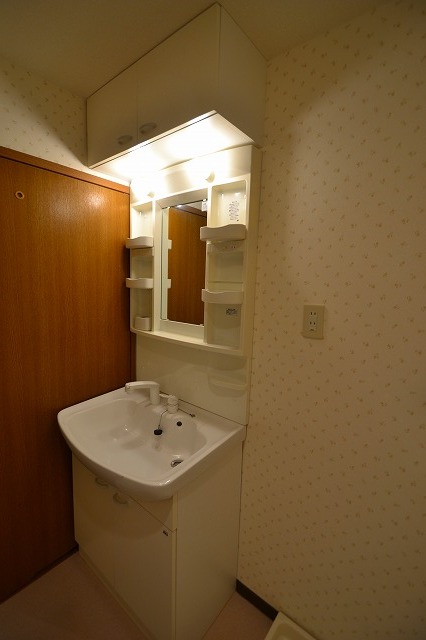Washroom. There is also a shampoo dresser. There is also a washing machine Storage.