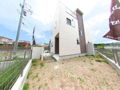 Garden. Garden space