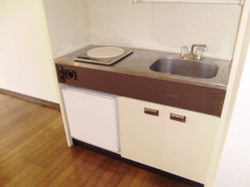 Kitchen. Electric stove with