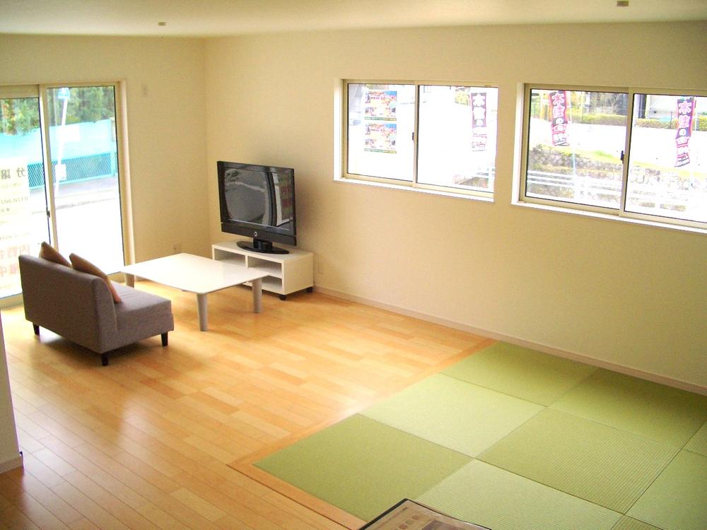 Living. Tatami with space