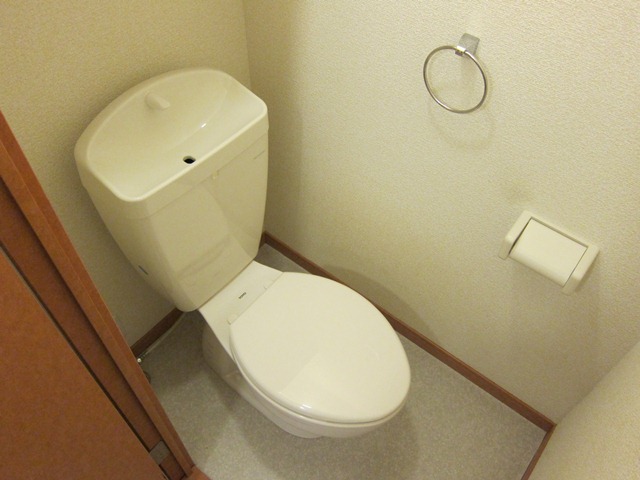 Toilet. Reversal type photo