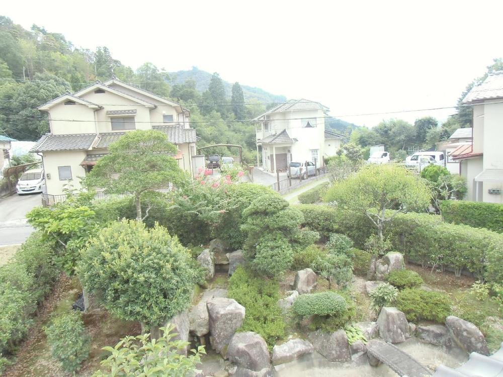 Garden. A full-fledged Japanese garden