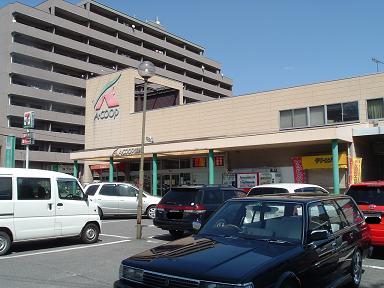 Supermarket. 53m to A Coop Seno store (Super)