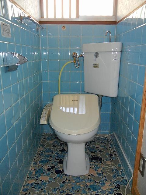 Toilet.   Warm water washing toilet seat