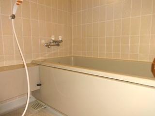 Bathroom. Indoor (11 May 2013) Shooting