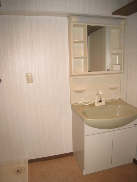 Washroom. Shampoo dresser