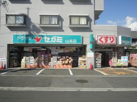Drug store. Drag Segami 1209m until Yamamoto shop