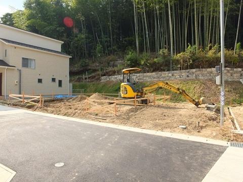 Local appearance photo. November 8 shooting