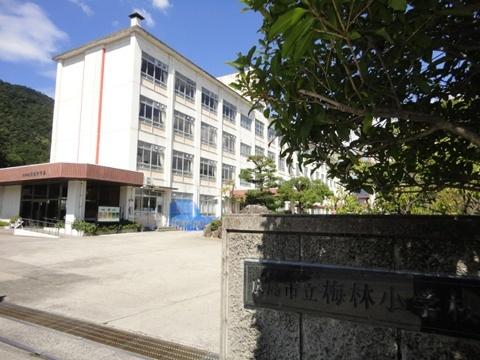 Primary school. Meilin to elementary school 1135m