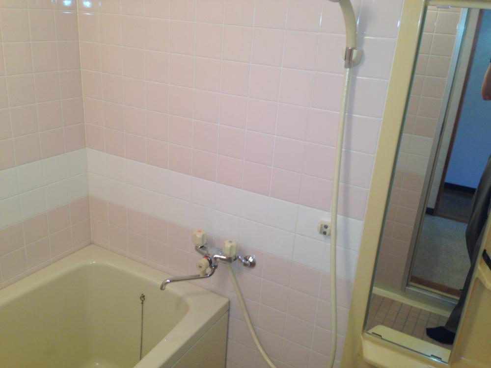 Bathroom. Room (August 2013) Shooting