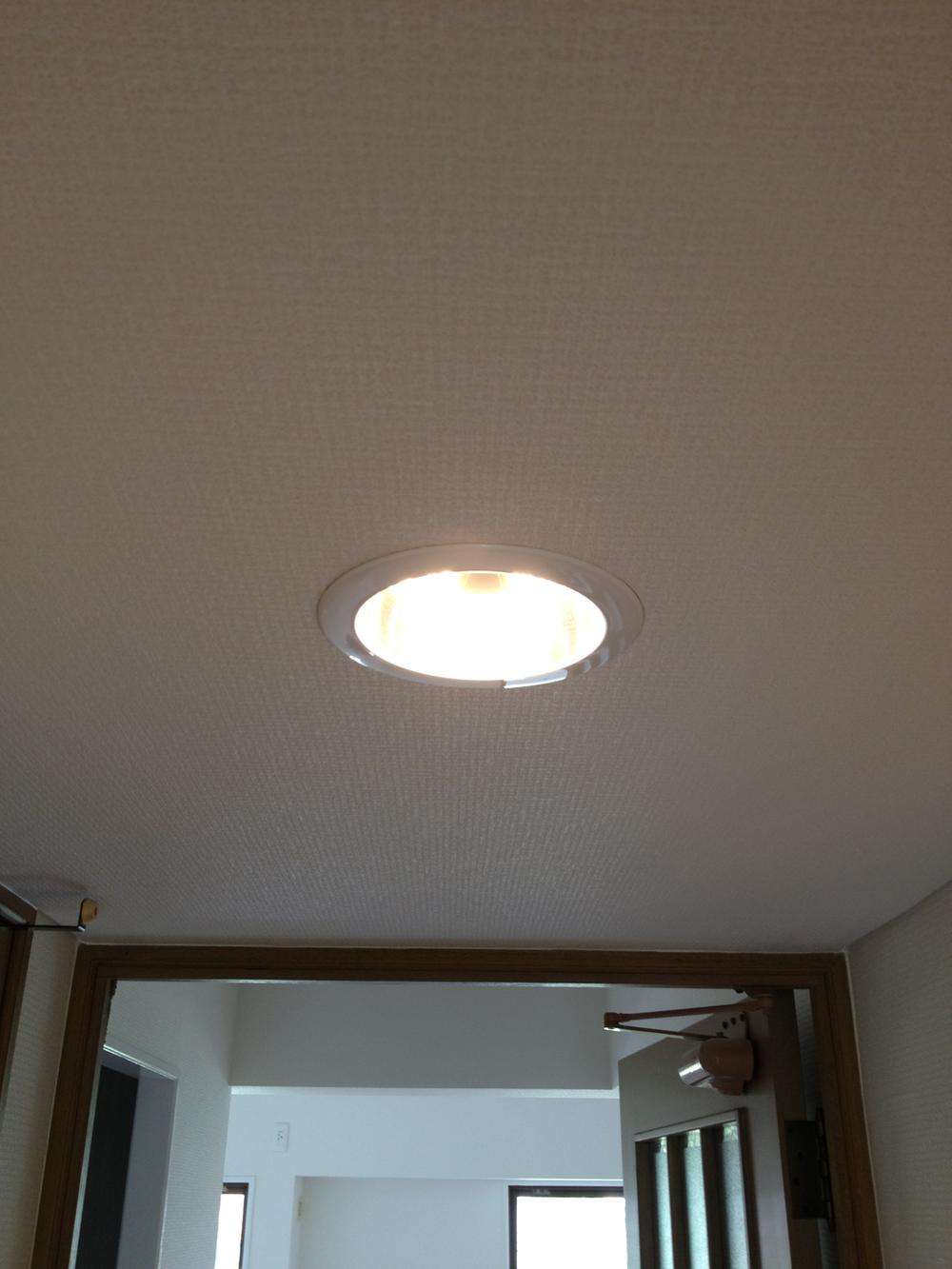 Other. And LED is used for the down light, It will save effect so long-lasting!