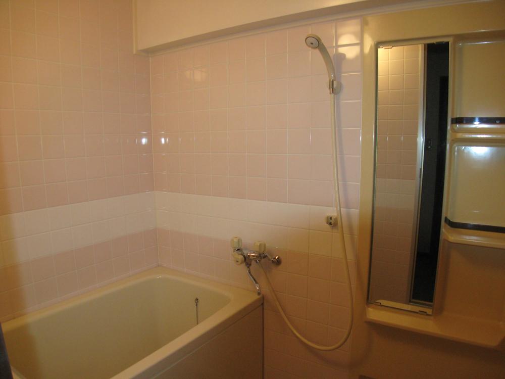 Bathroom. Local (March 2013) Shooting