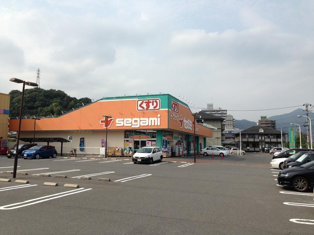 Other. Pharmacy Segami