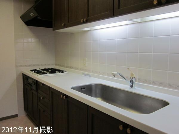 Kitchen. Indoor (05 May 2013) Shooting