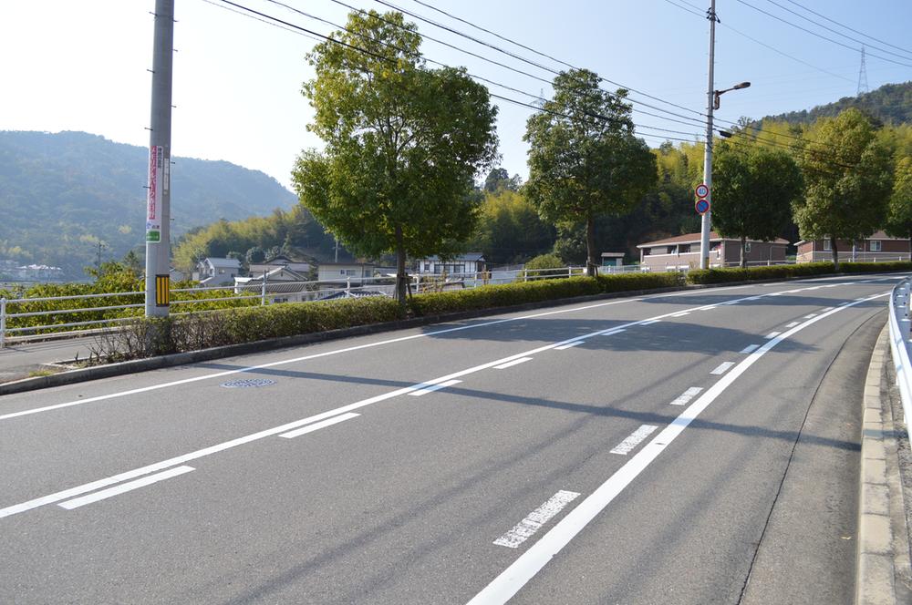 Other. Local (11 May 2013) Shooting