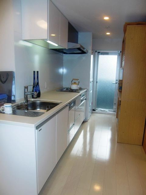 Kitchen. Indoor (10 May 2012) shooting
