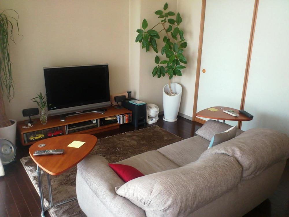 Living. Bright living room.