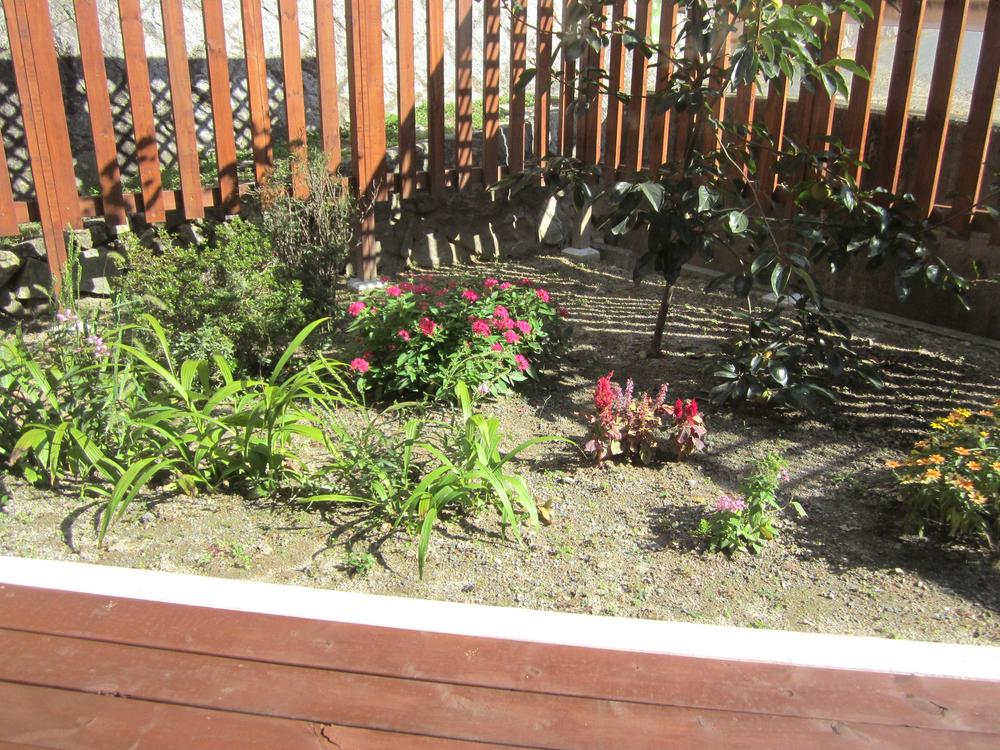 Garden. Local (10 May 2013) Shooting