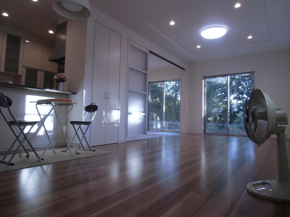 Living. Indoor (11 May 2013) Shooting