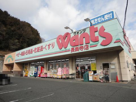 Drug store. Wants Until Chorakuji Temple shop 403m