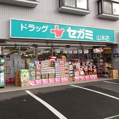 Drug store. Drag Segami 880m to Yamamoto shop