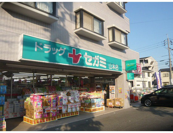 Dorakkusutoa. Drag Segami Yamamoto shop 123m until (drugstore)