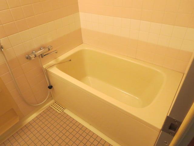 Bathroom. Indoor (11 May 2013) Shooting