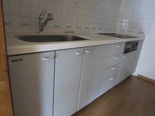 Kitchen. Indoor (11 May 2013) Shooting