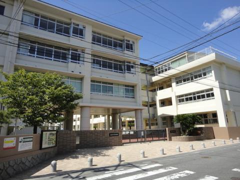 Primary school. Midorii until elementary school 610m