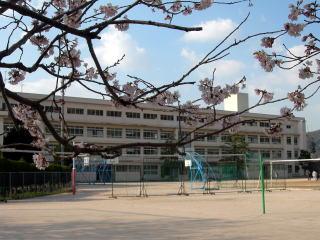 Junior high school. 1376m to Hiroshima City Museum of Gion Junior High School