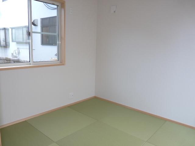 Non-living room. Heckling color tatami