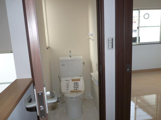 Toilet. 2 ulcers toilet