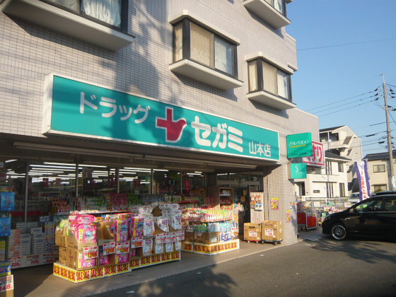 Dorakkusutoa. Drag Segami Yamamoto shop 259m until (drugstore)