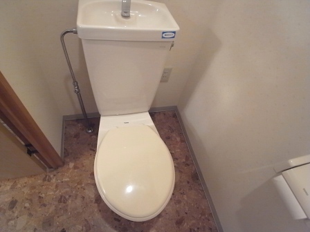 Toilet