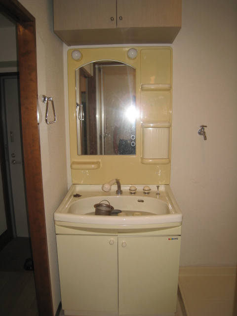 Washroom. Shampoo dresser