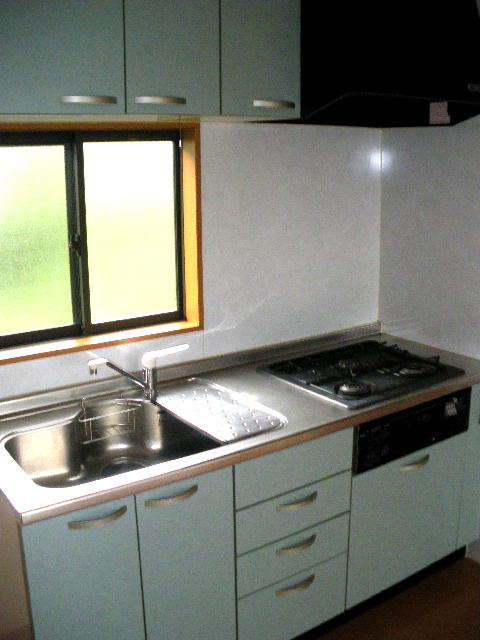 Kitchen. System kitchen