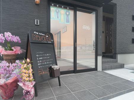 Other local. Since the bench and sidewalks are in place, Walk and walking with the dog also there is also a comfortable dog salon.